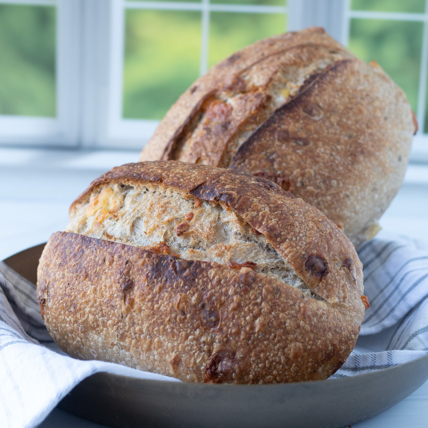 Gouda & Herb Sourdough