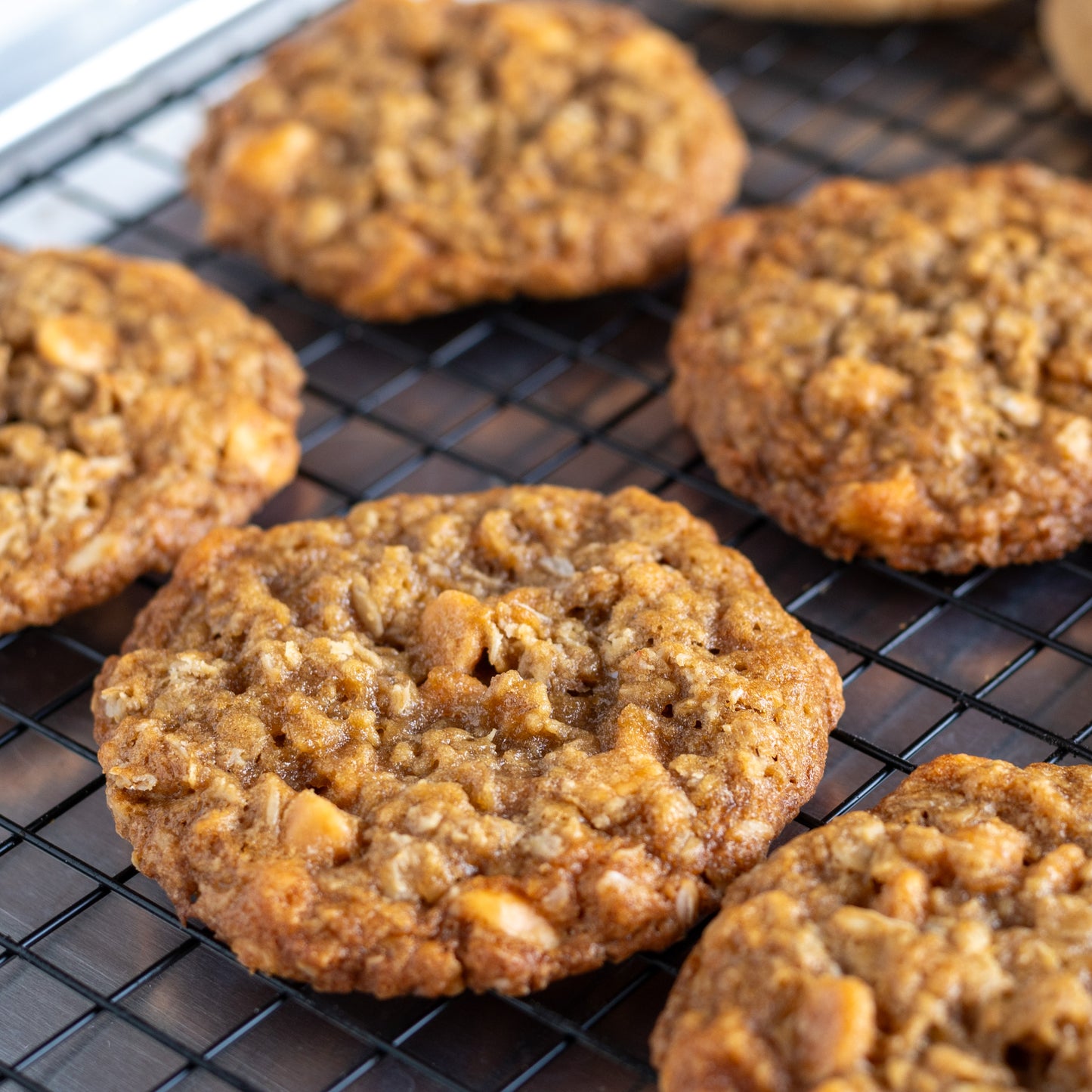 Oatmeal Butterscotch Cookies