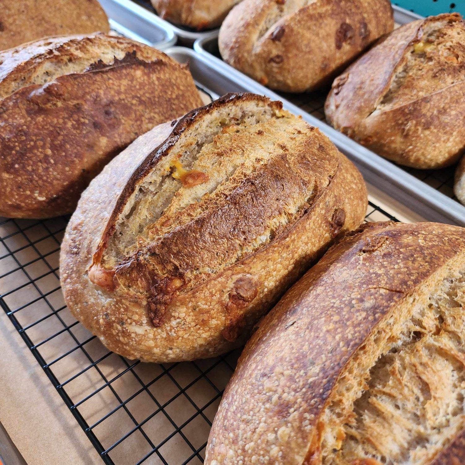 Sourdough Breads